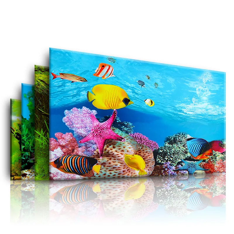 Aquarium Fish For Sale Online - Sfondo per acquario Adesivo 3D Poster