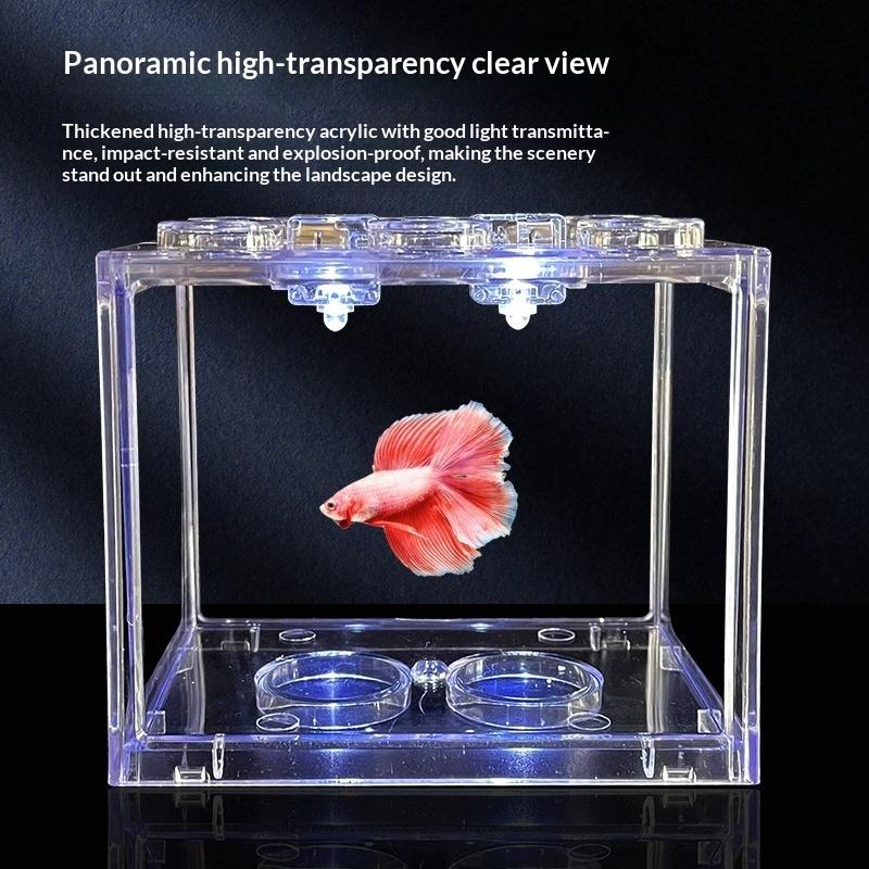 Aquarium Fish Medicine - Acquario Cilindrico con Piante Marine per