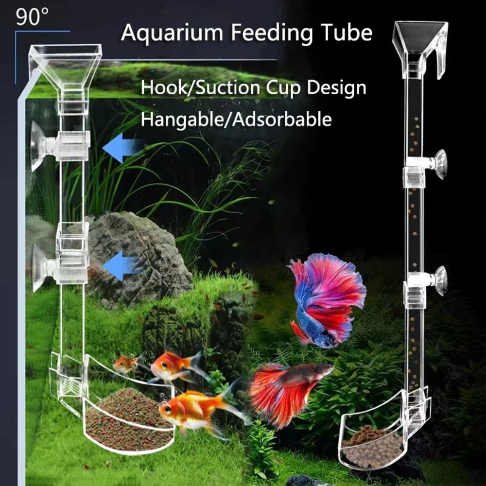 Aquarium Fish Price - Nuovo trasparente acquario per acquario tubo