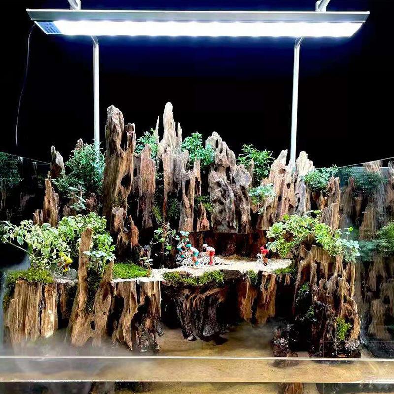 Aquarium Fish For Sale Online - Decorazione per acquario in legno di