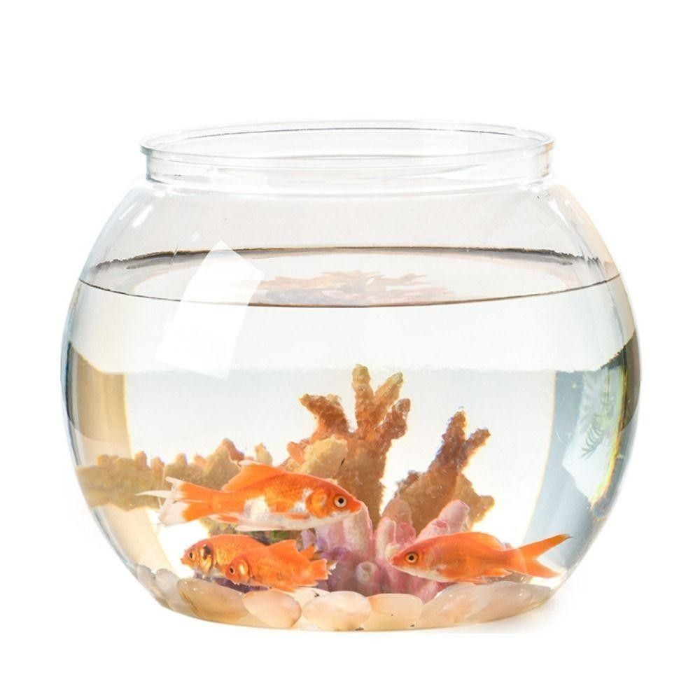 Aquarium Fish In Bowl - Acquario Portatile Trasparente Rotondo in Plastica,