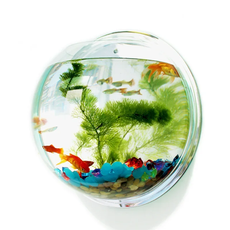 Aquarium Fish In Bowl - Pinsjar Ciotola per pesci in acrilico