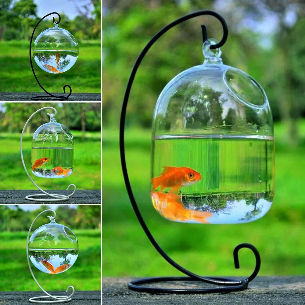Aquarium Fish In Bowl - Decorazione da parete per acquario con