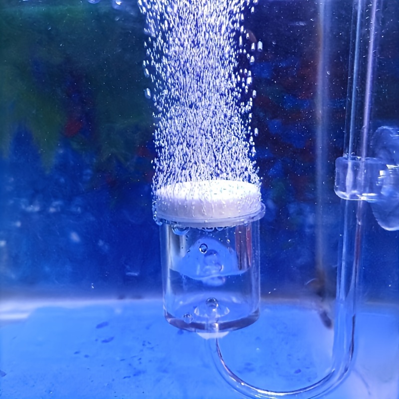 Aquarium Fish Photography - Acquario Vetro CO2 Atomizzatore Diffusore Contatore