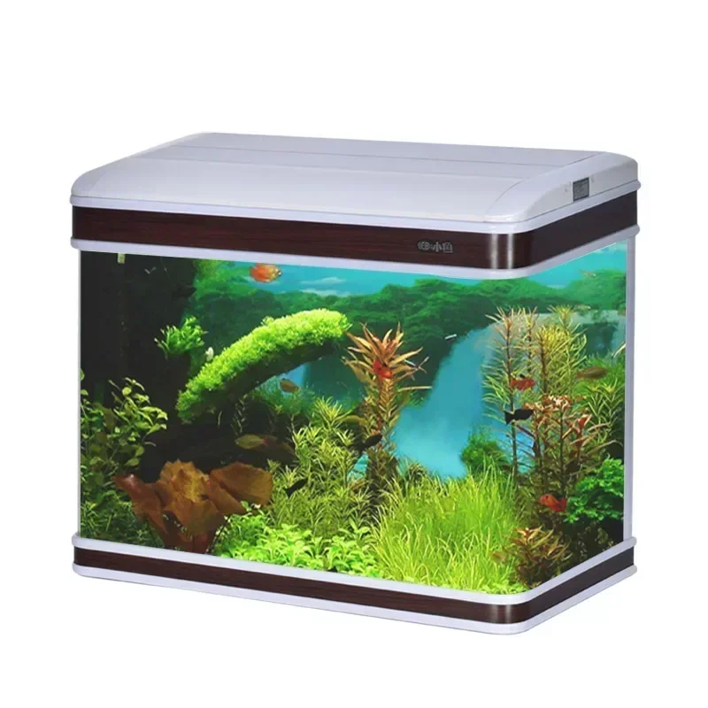 Aquarium Fish Supplier - Fornitore professionale per acquari Acquario in