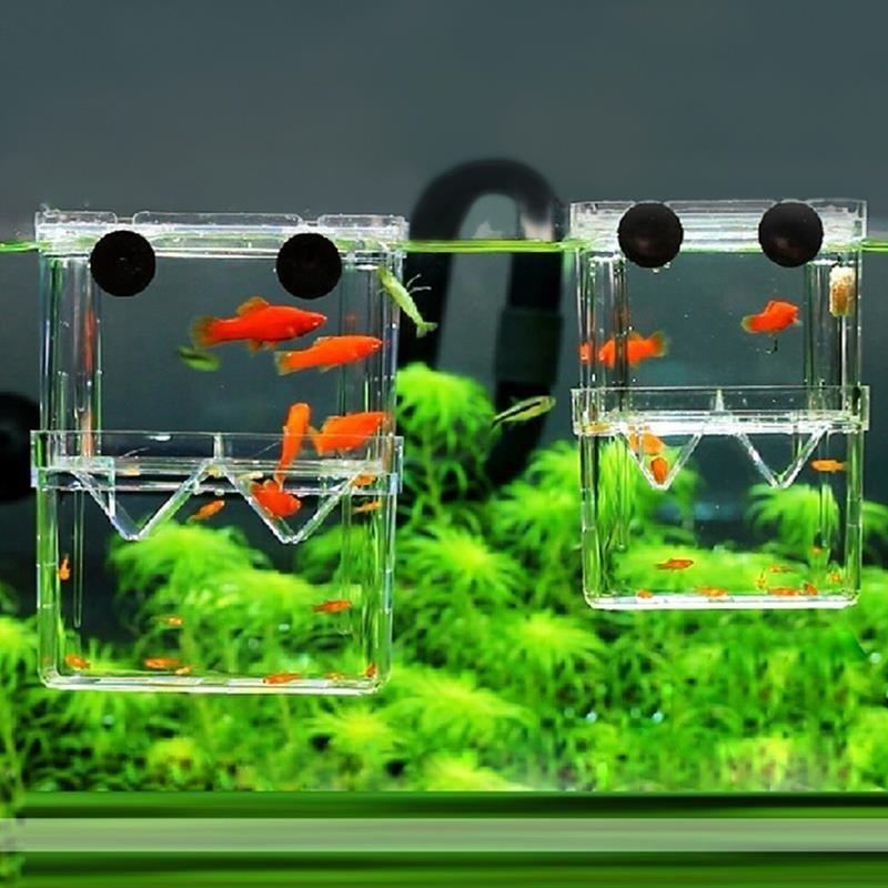 Aquarium Fish In Bowl - Acquario per pesci multifunzionale Scatola di