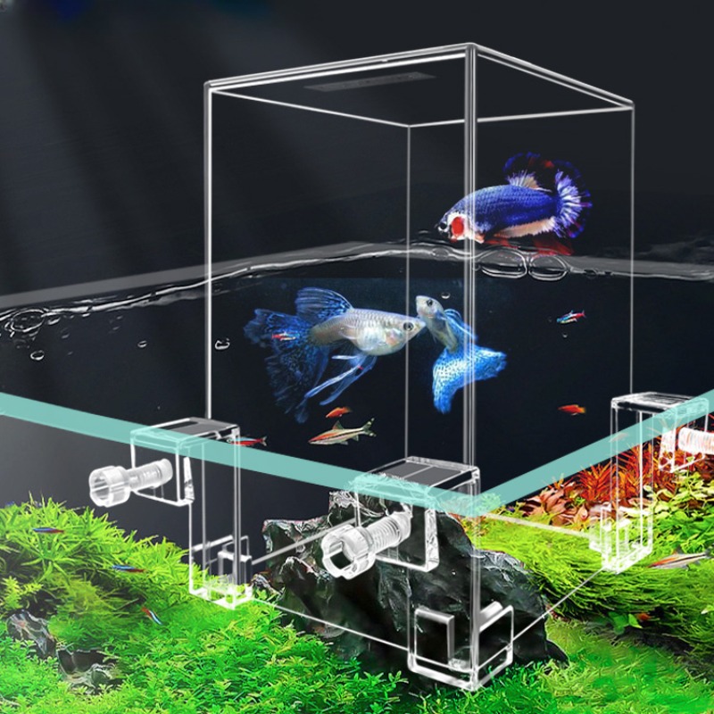 Aquarium Fish In Bowl - Serbatoi per acquari creativi serbatoio per