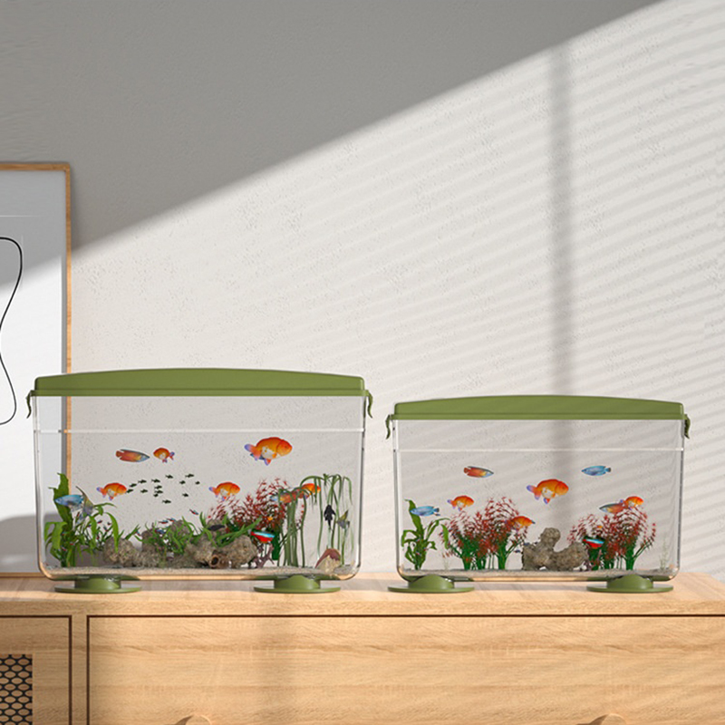 Aquarium Fish In Bowl - Mini Acquario Portatile per Pesci, Gamberetti