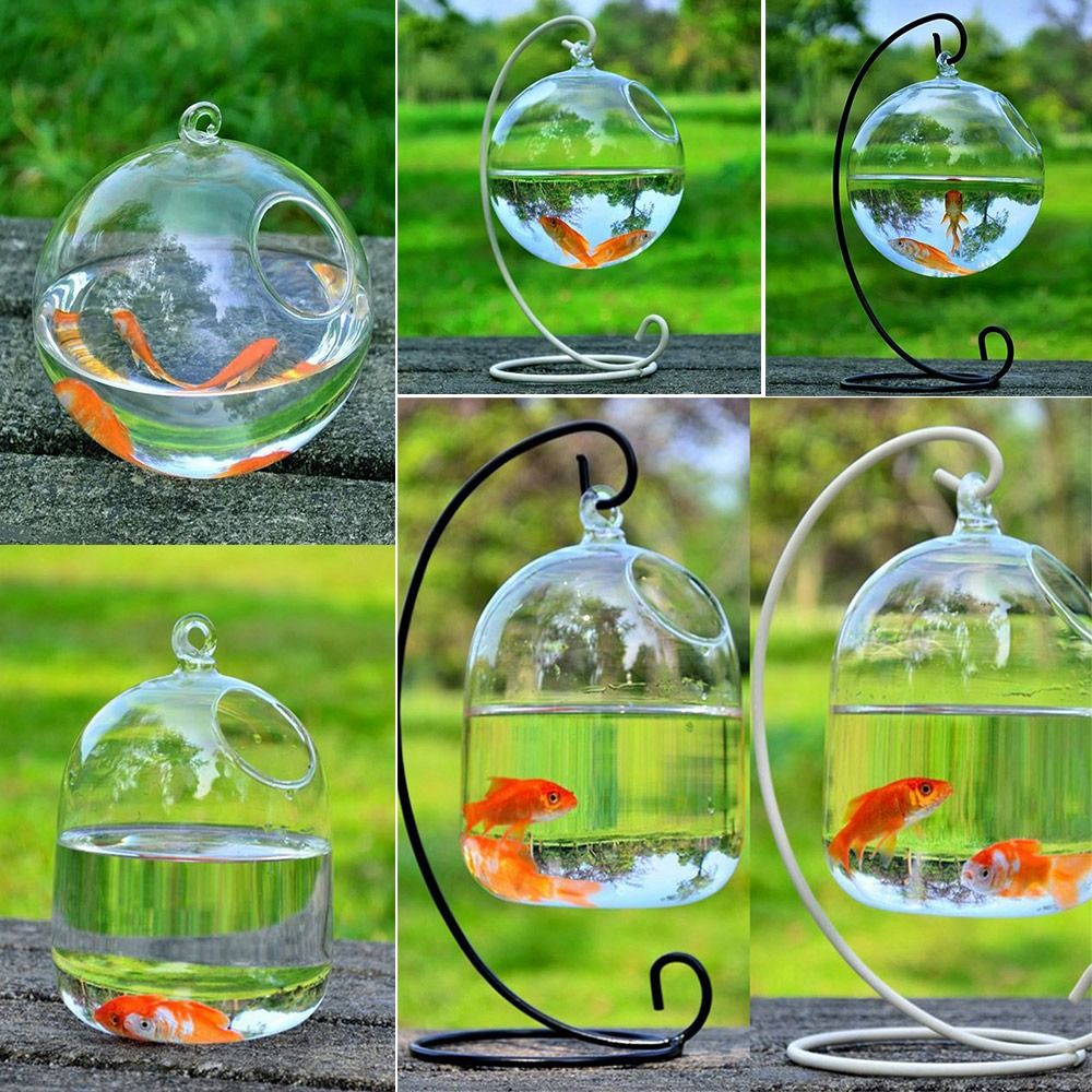 Aquarium Fish In Bowl - Decorazione per Acquario da Parete con