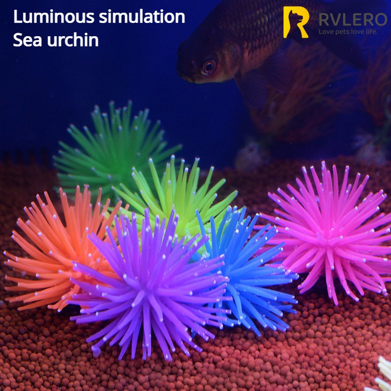 Aquarium Fish Photography - Simulazione luminosa Anemone di mare Uccina