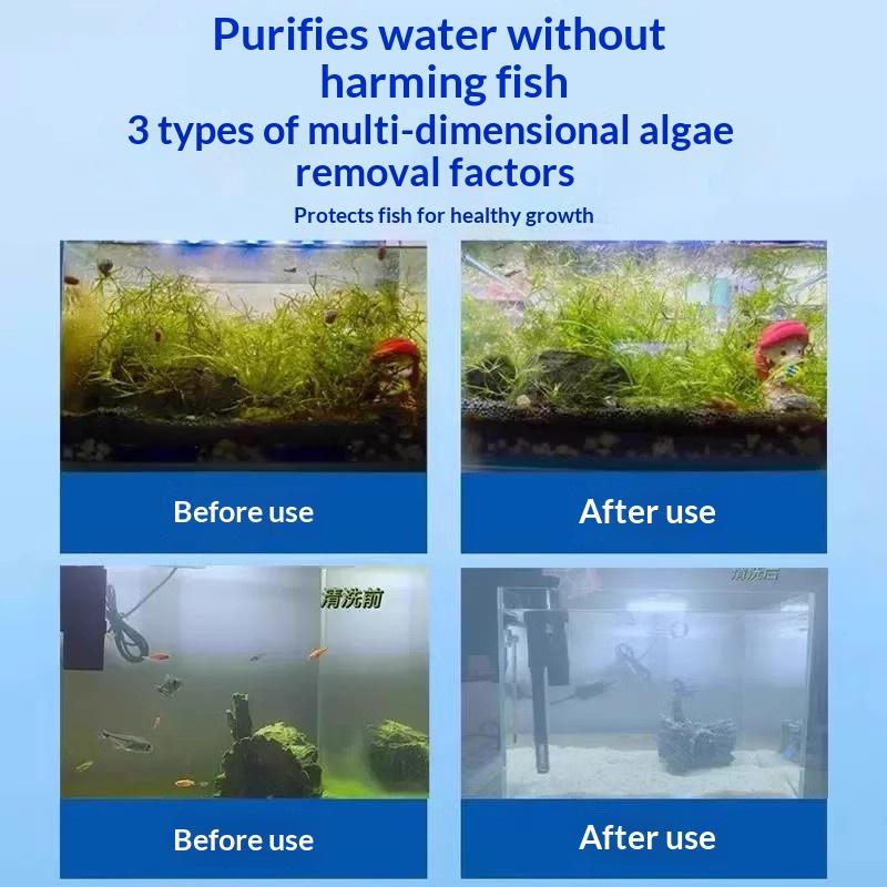 Aquarium Fish Maintenance - Compresse detergenti per alghe d'acquario, facili