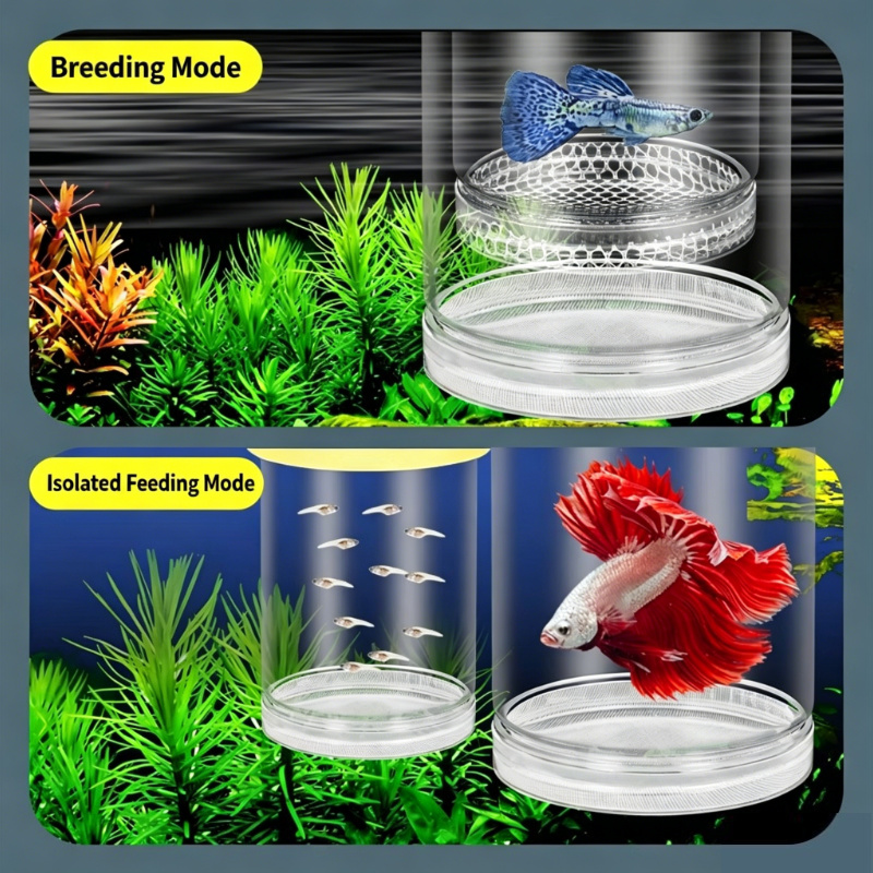 Aquarium Fish Medicine - Scatola Trasparente Galleggiante per Acquario, Separatore