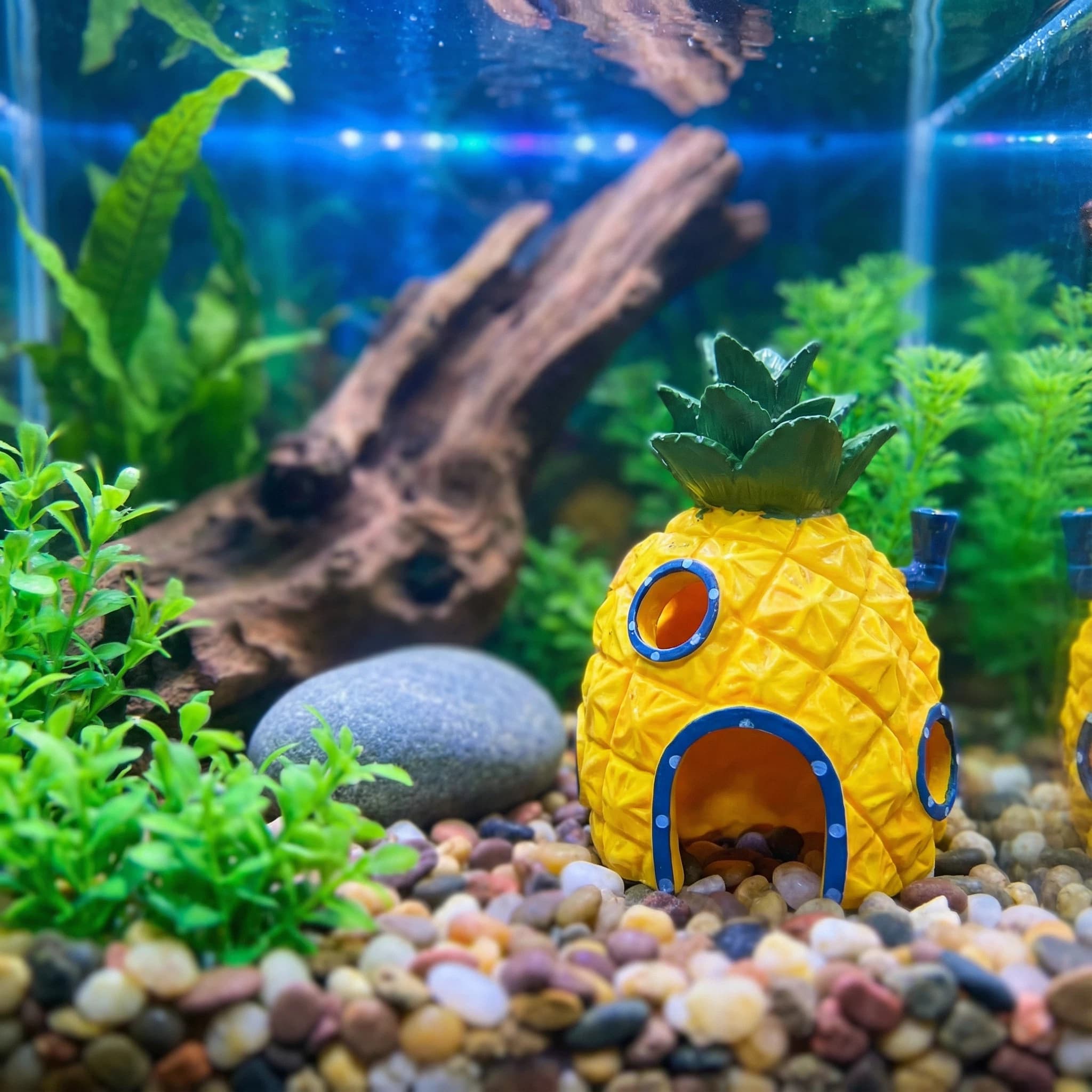Aquarium Fish Hiding Places - Decorazione per acquario Pineapple House, grotta