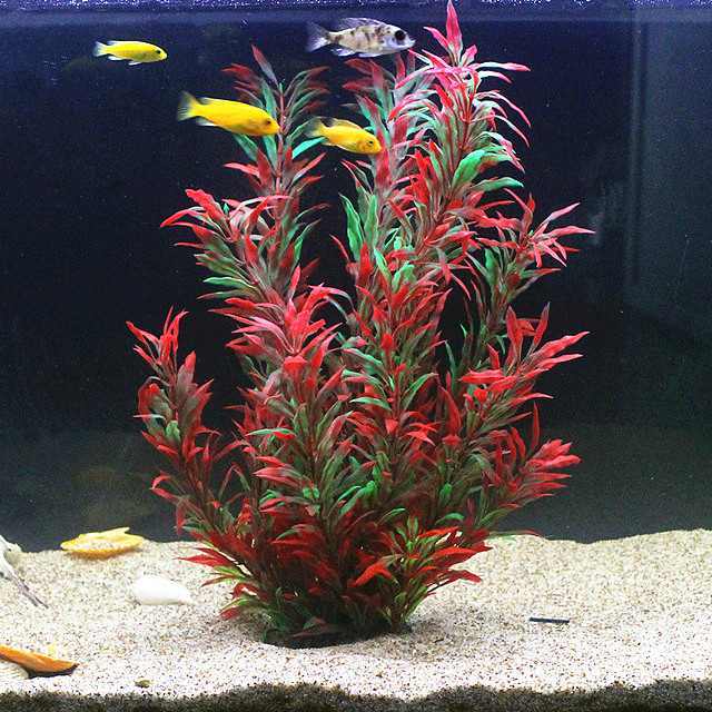 Aquarium Fish Photography - 50CM Acquario artificiale Piante rare Acquario
