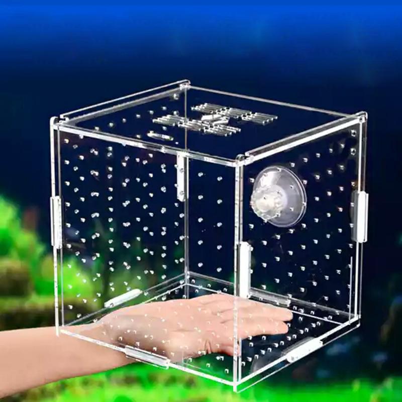 Aquarium Fish Medicine - Scatola di isolamento dell'acquario serbatoio di