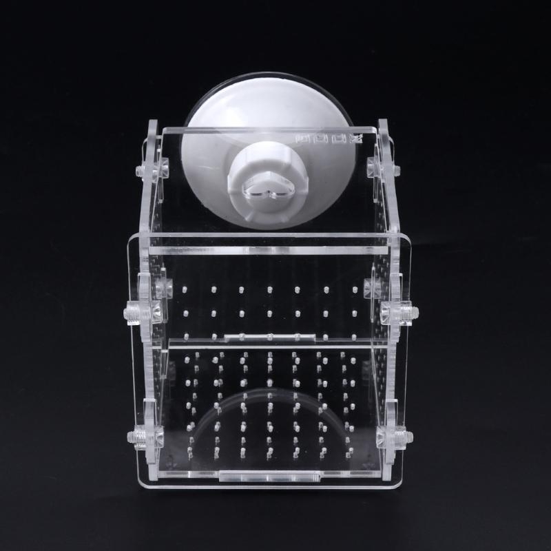 Aquarium Fish Medicine - F92B Scatola per allevamento pesci Acquario