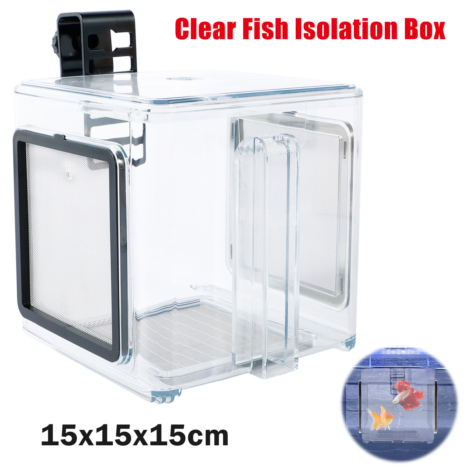 Scatola per allevamento di acq - Aquarium Fish In Bowl recensione e prezzo
