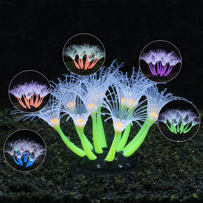 Decorazioni Subacquee in Silic - Aquarium Fish Games recensione e prezzo