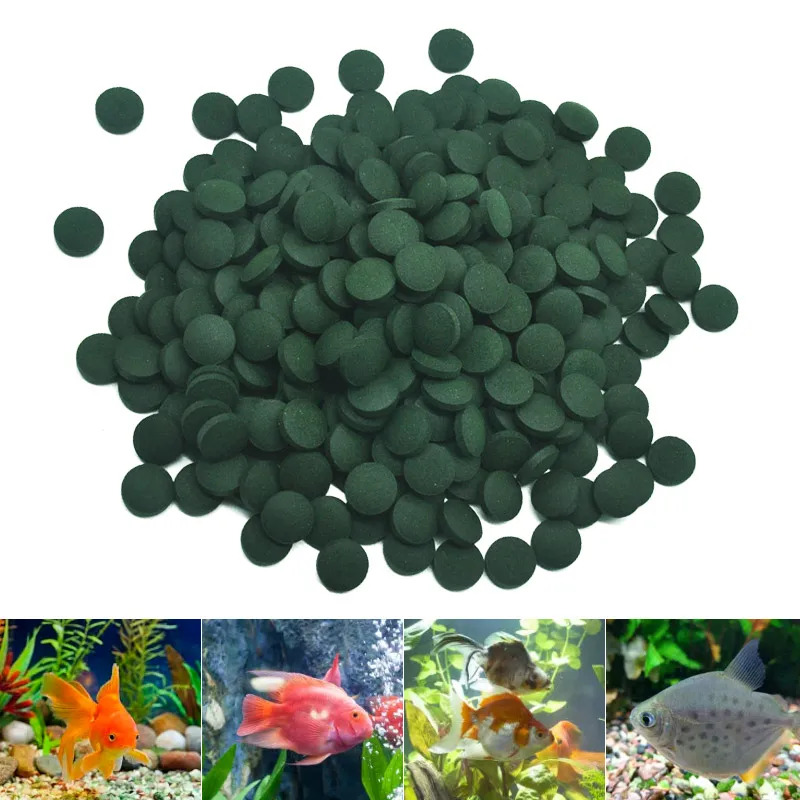 100-3000pc compresse di spirul - Aquarium Fish Price recensione e prezzo
