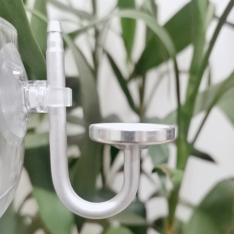 Atomizzatore CO2 per Acquario  - Aquarium Fish Photography recensione e prezzo