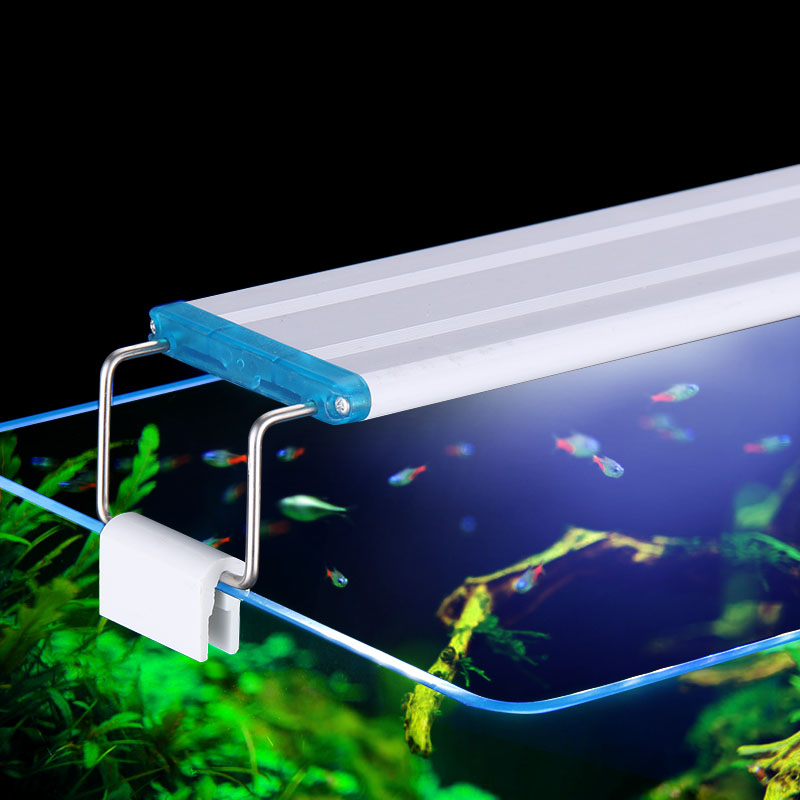 Clip impermeabile estensibile  - Aquarium Fish Photography recensione e prezzo