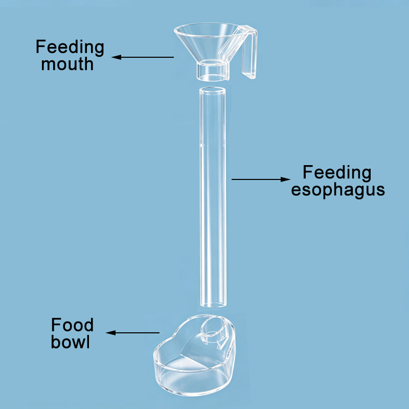 Dispenser di cibo per acquario - Aquarium Fish Price recensione e prezzo