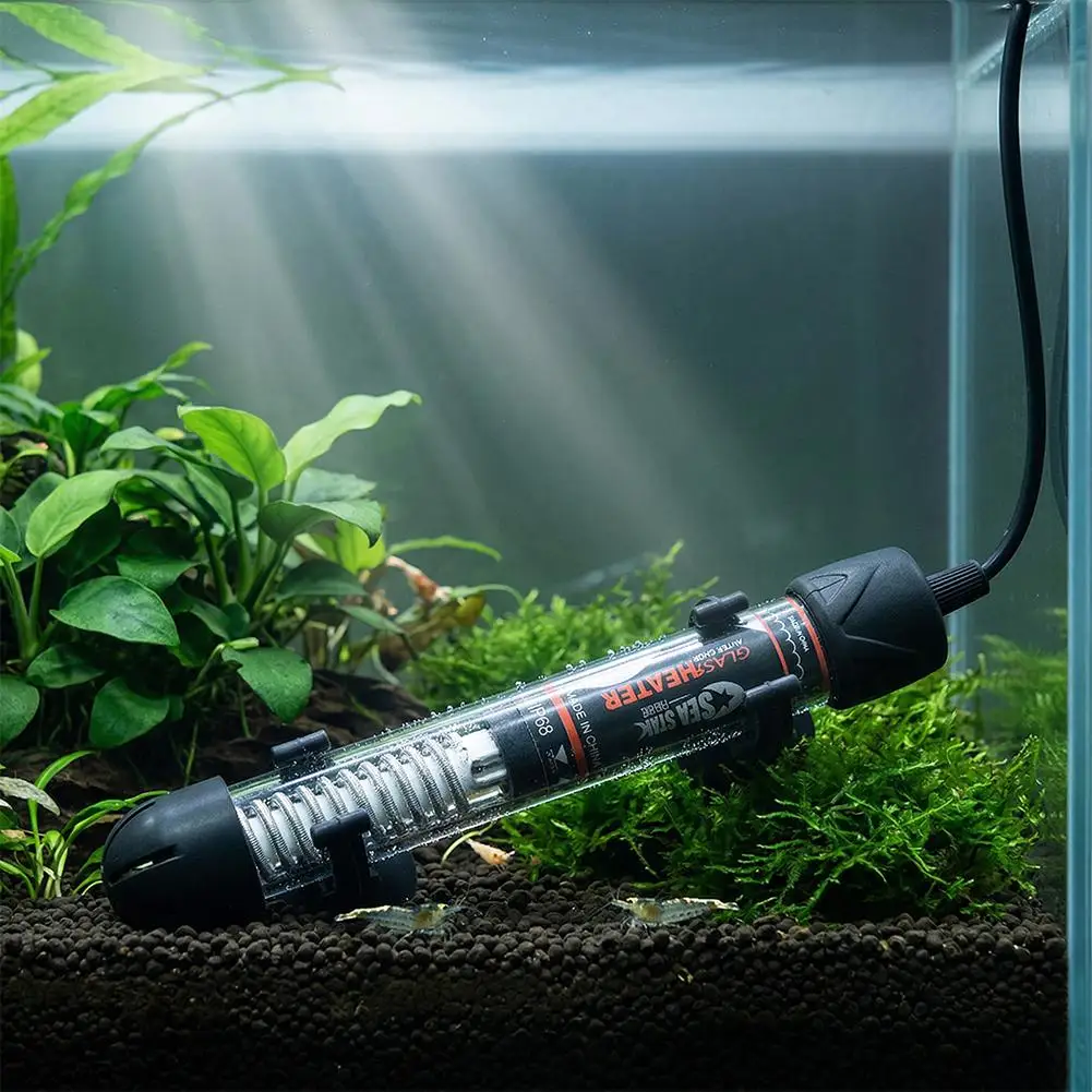 Riscaldatore per Acquario Rego - Aquarium Fish Cold Water recensione e prezzo