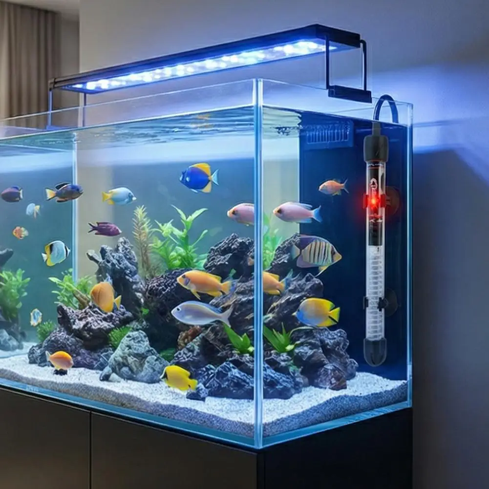 Riscaldatore per Acquario Rego - Aquarium Fish Cold Water recensione e prezzo