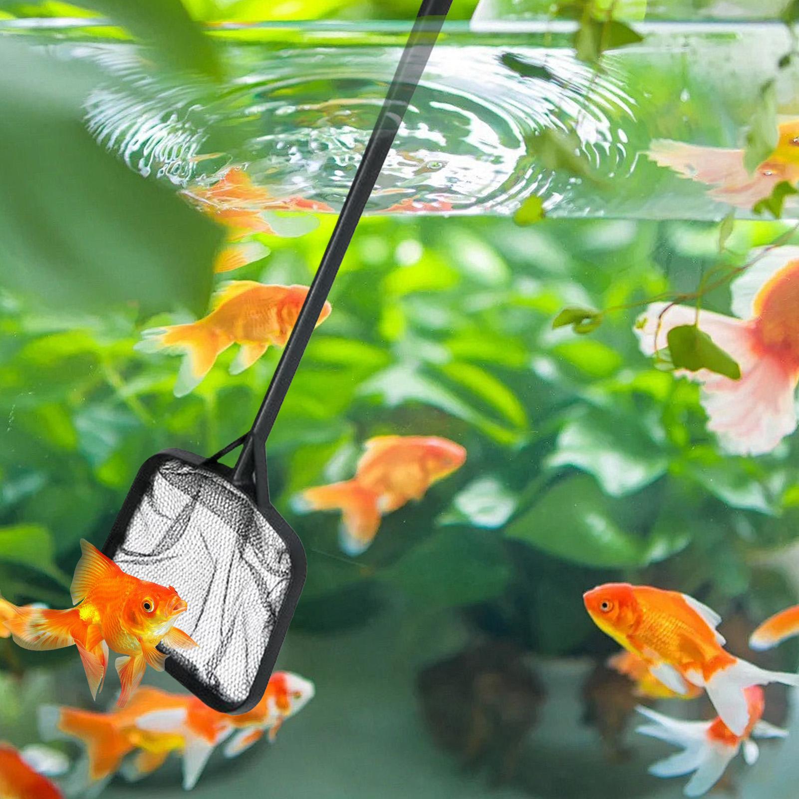 Reti per la Pulizia della Pisc - Aquarium Fish Maintenance recensione e prezzo