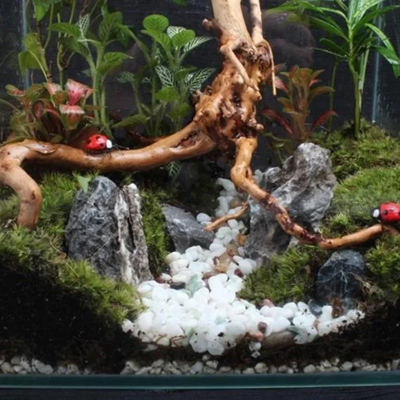 Tronco d'albero naturale Drift - Aquarium Fish Hiding Places recensione e prezzo