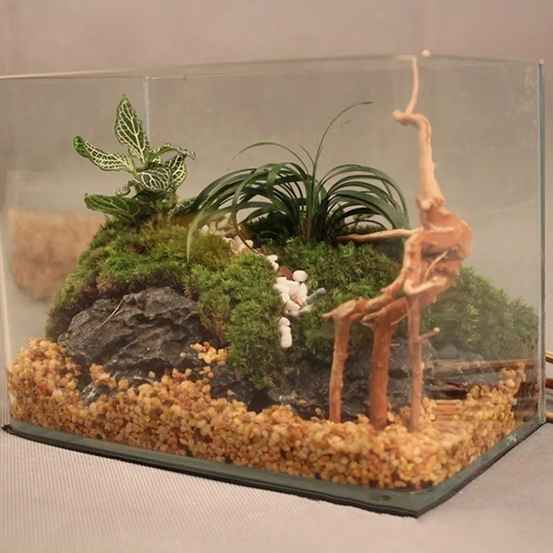 Tronco d'albero naturale Drift - Aquarium Fish Hiding Places recensione e prezzo