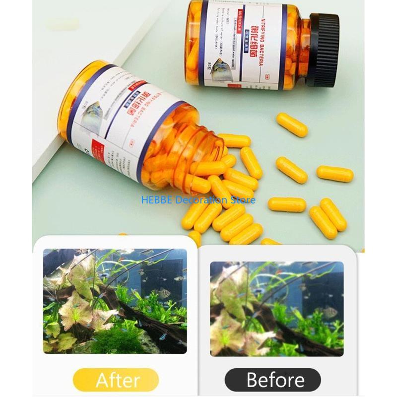 B0KC 30/80 pezzi Capsule batte - Aquarium Fish Medicine recensione e prezzo