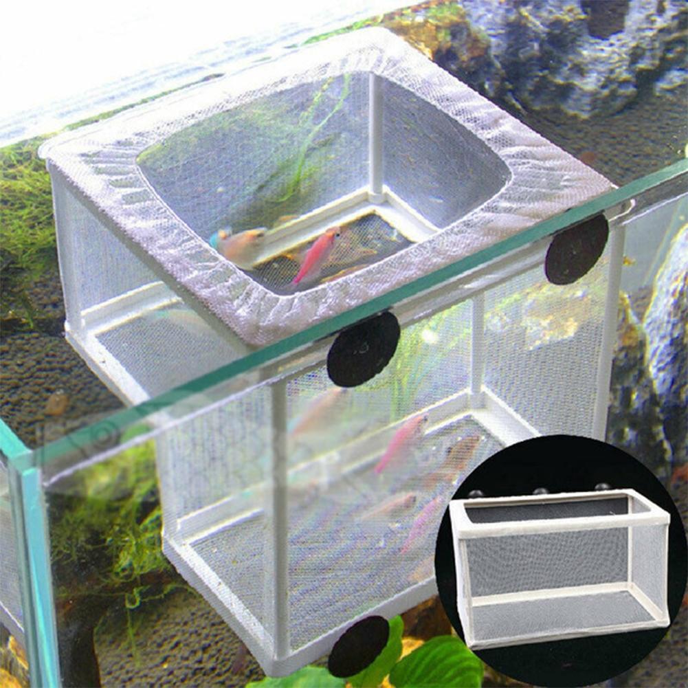 Scatola per Allevamento Pesci  - Aquarium Fish Medicine recensione e prezzo