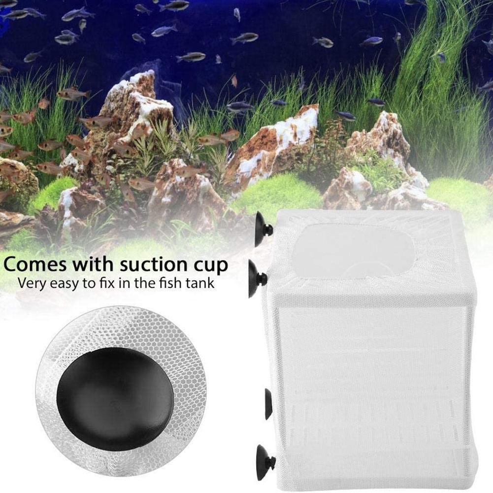 Scatola per Allevamento Pesci  - Aquarium Fish Medicine recensione e prezzo