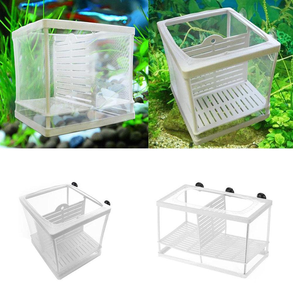 Scatola per Allevamento Pesci  - Aquarium Fish Medicine recensione e prezzo