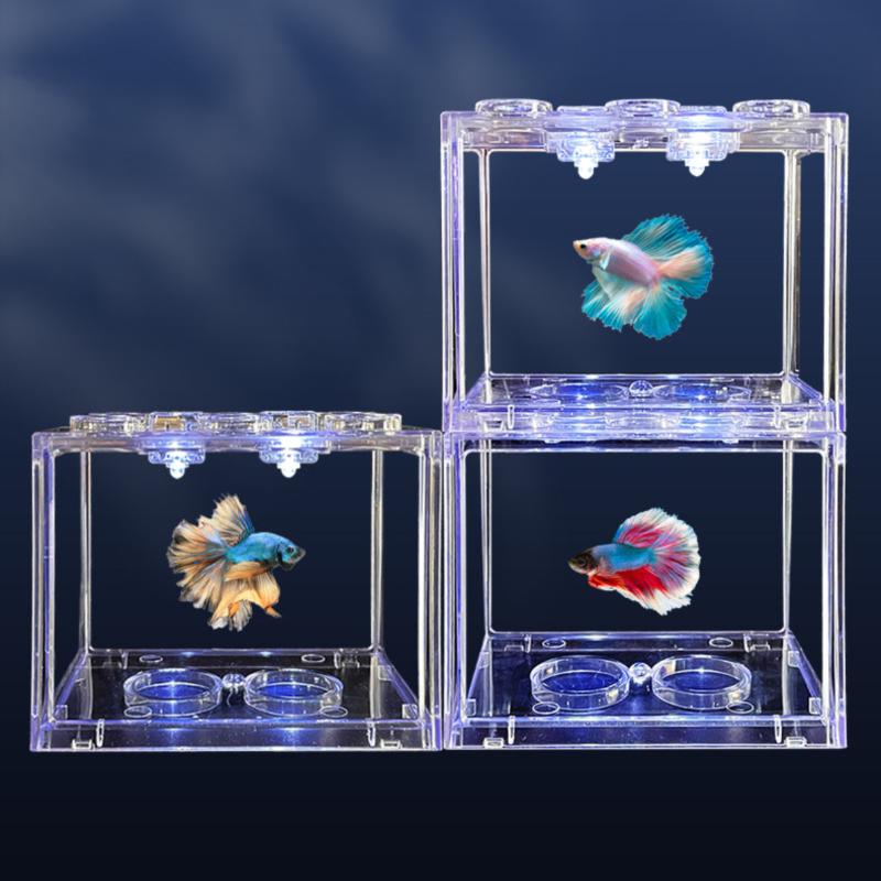 Acquario Cilindrico con Piante - Aquarium Fish Medicine recensione e prezzo
