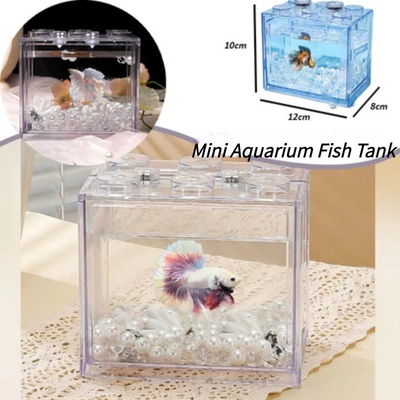 Acquario Cilindrico con Piante - Aquarium Fish Medicine recensione e prezzo