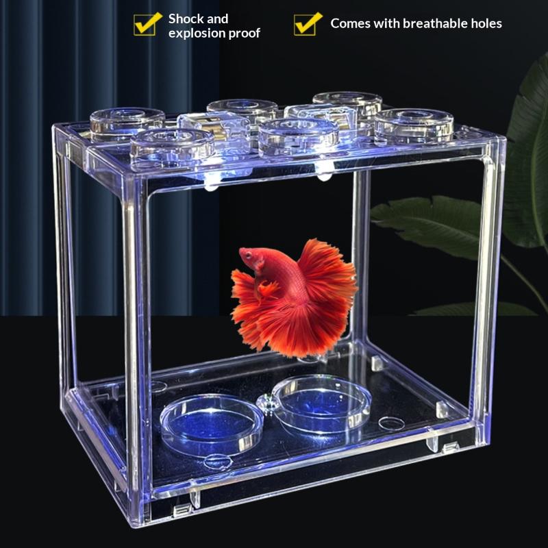 Acquario Cilindrico con Piante - Aquarium Fish Medicine recensione e prezzo