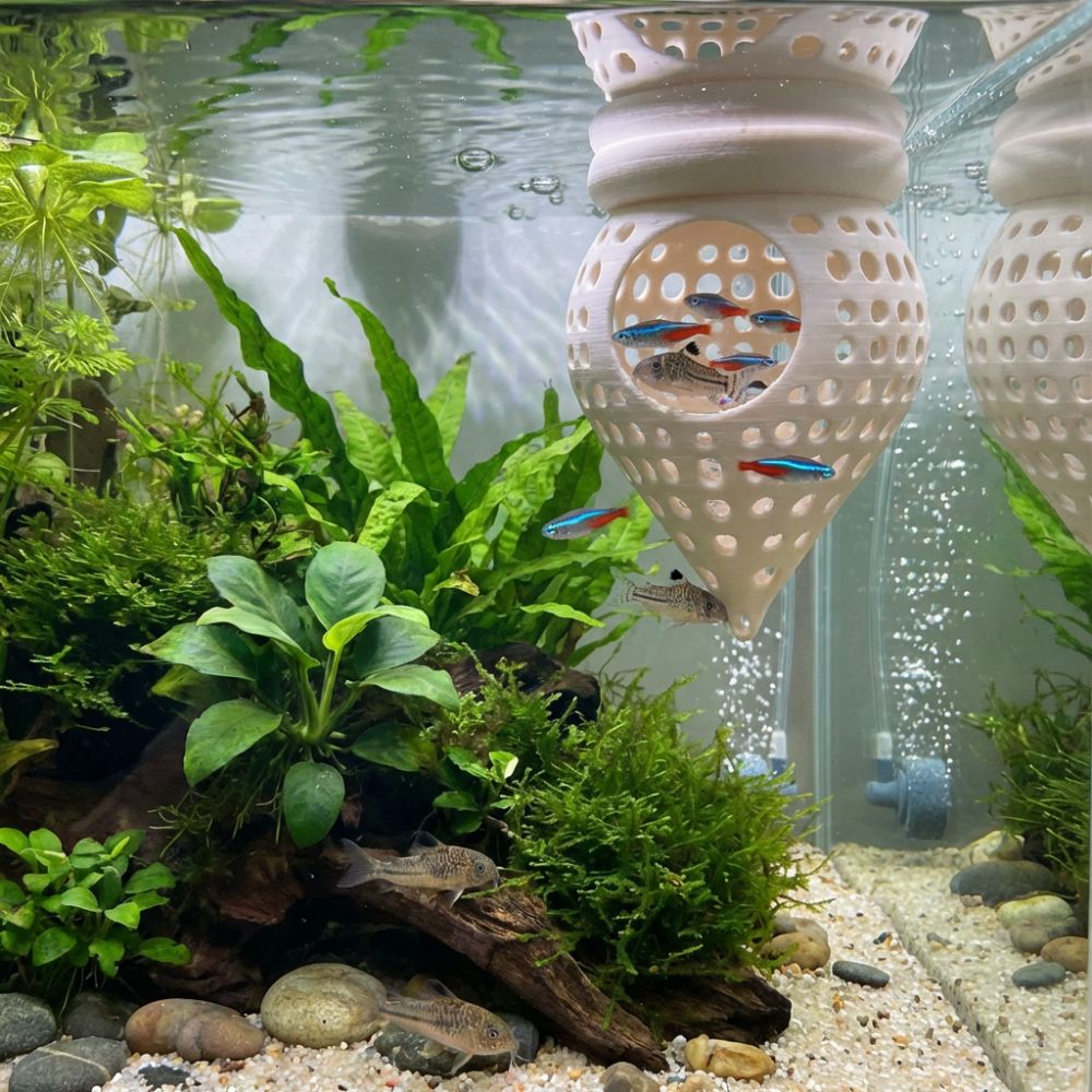 Piattaforme di Riposo Galleggi - Aquarium Fish Hiding Places recensione e prezzo