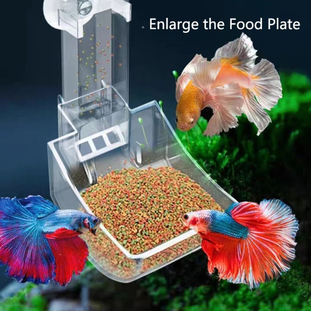 Nuovo trasparente acquario per - Aquarium Fish Price recensione e prezzo