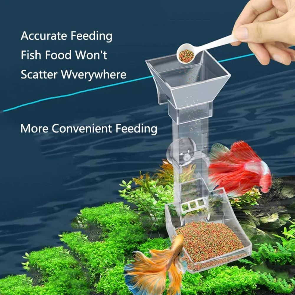 Nuovo trasparente acquario per - Aquarium Fish Price recensione e prezzo