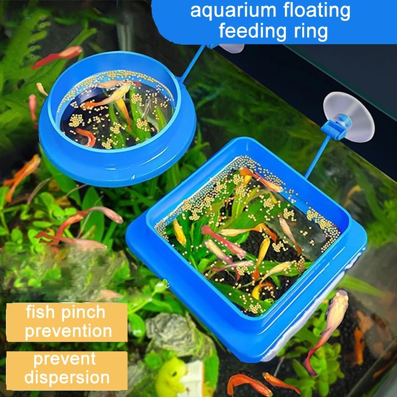 Anello Galleggiante per Alimen - Aquarium Fish Medicine recensione e prezzo