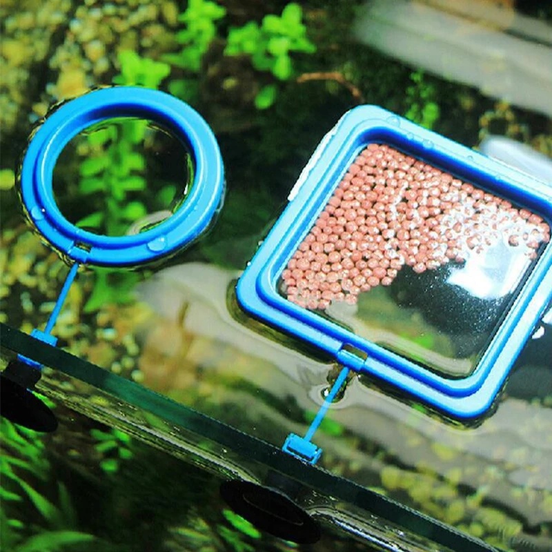 Anello Galleggiante per Alimen - Aquarium Fish Medicine recensione e prezzo