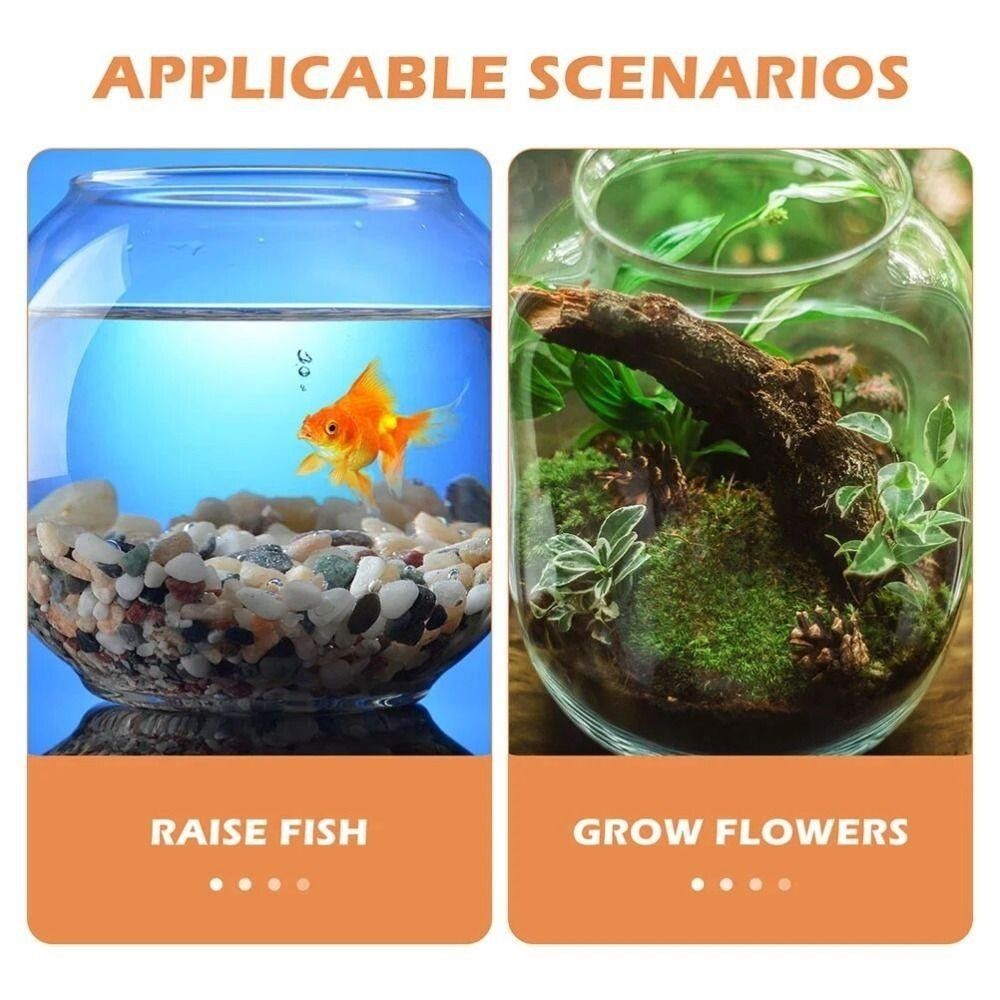 Acquario Portatile Trasparente - Aquarium Fish In Bowl recensione e prezzo