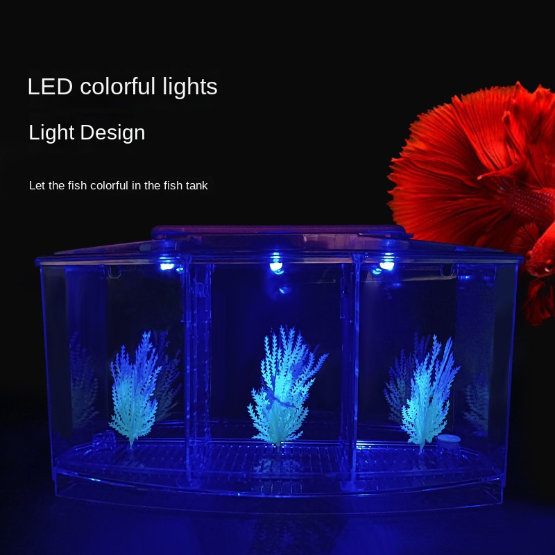 Mini acquario piccolo per acqu - Aquarium Fish In Bowl recensione e prezzo