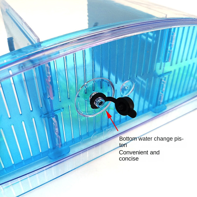 Mini acquario piccolo per acqu - Aquarium Fish In Bowl recensione e prezzo