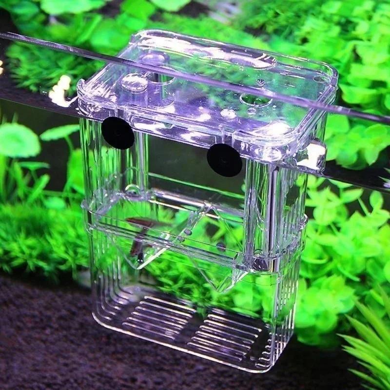 Acquario per pesci trasparente - Aquarium Fish Medicine recensione e prezzo