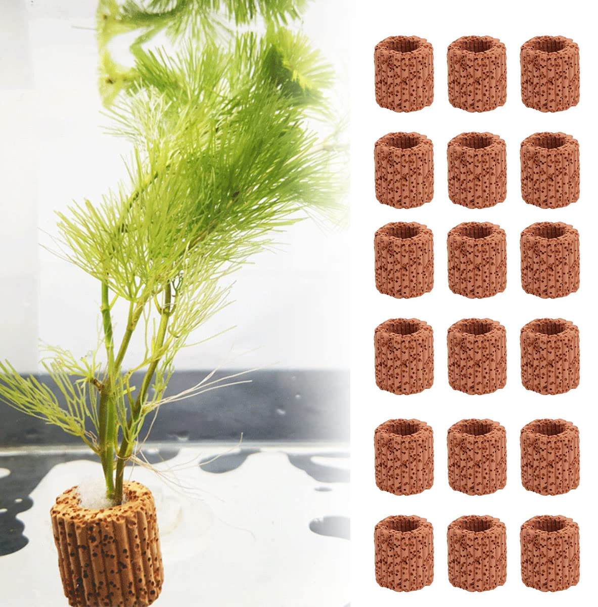 10/20Pcs Base ad anello fisso  - Aquarium Fish For Sale Online recensione e prezzo