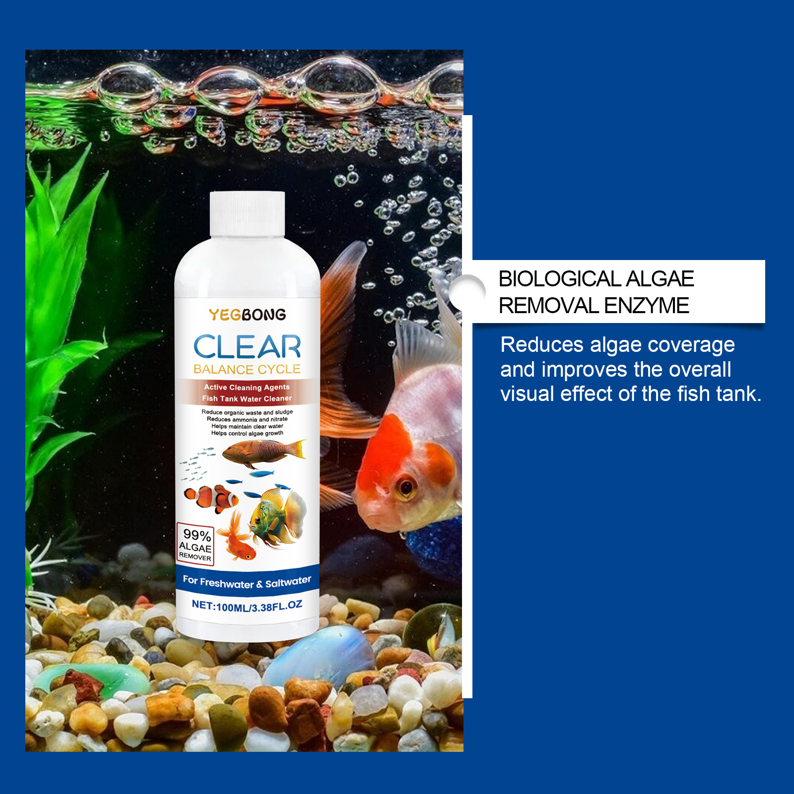 Chiarificatore d'acqua per acq - Aquarium Fish Maintenance recensione e prezzo