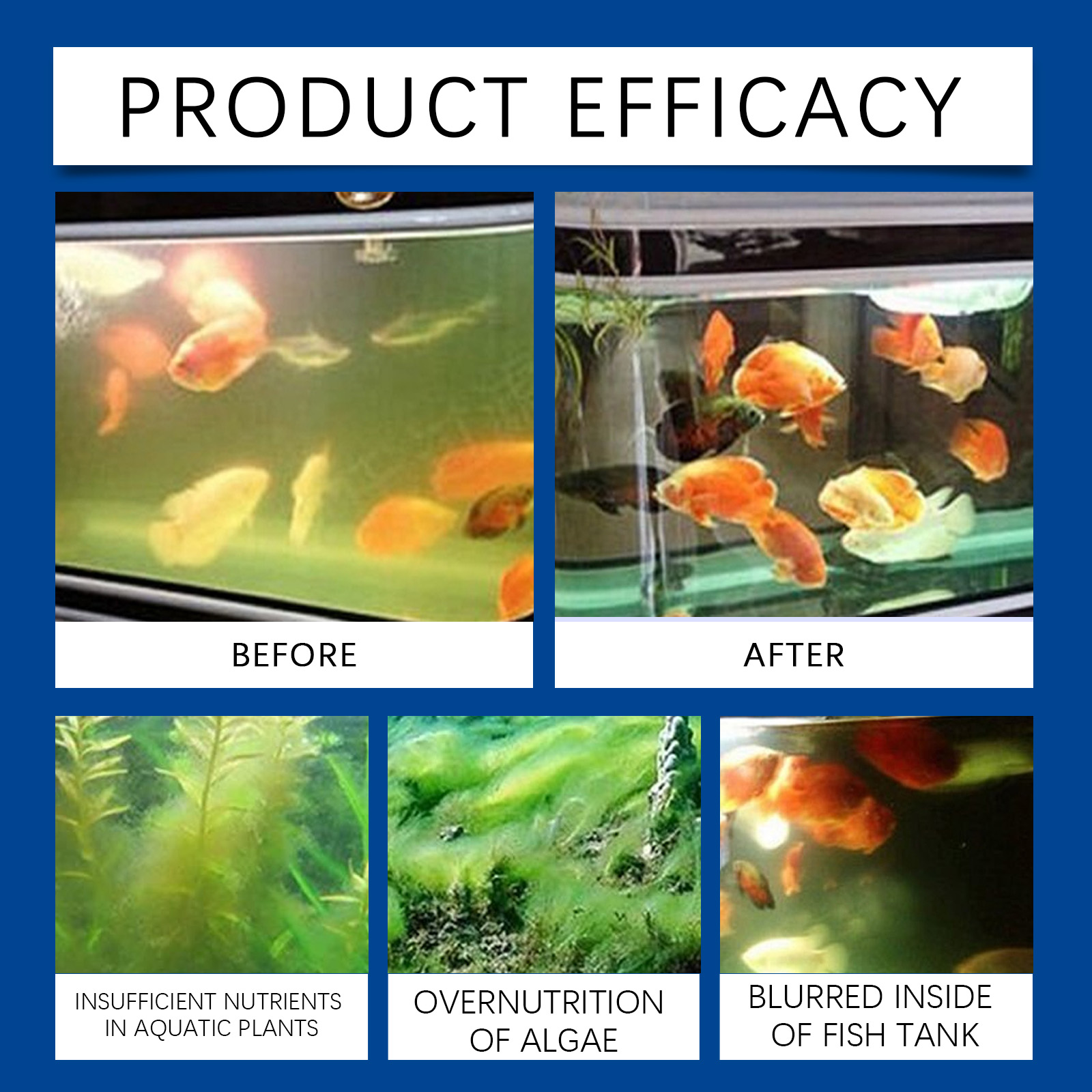 Chiarificatore d'acqua per acq - Aquarium Fish Maintenance recensione e prezzo